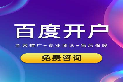 SEM推广优化实战：案例分析与启示